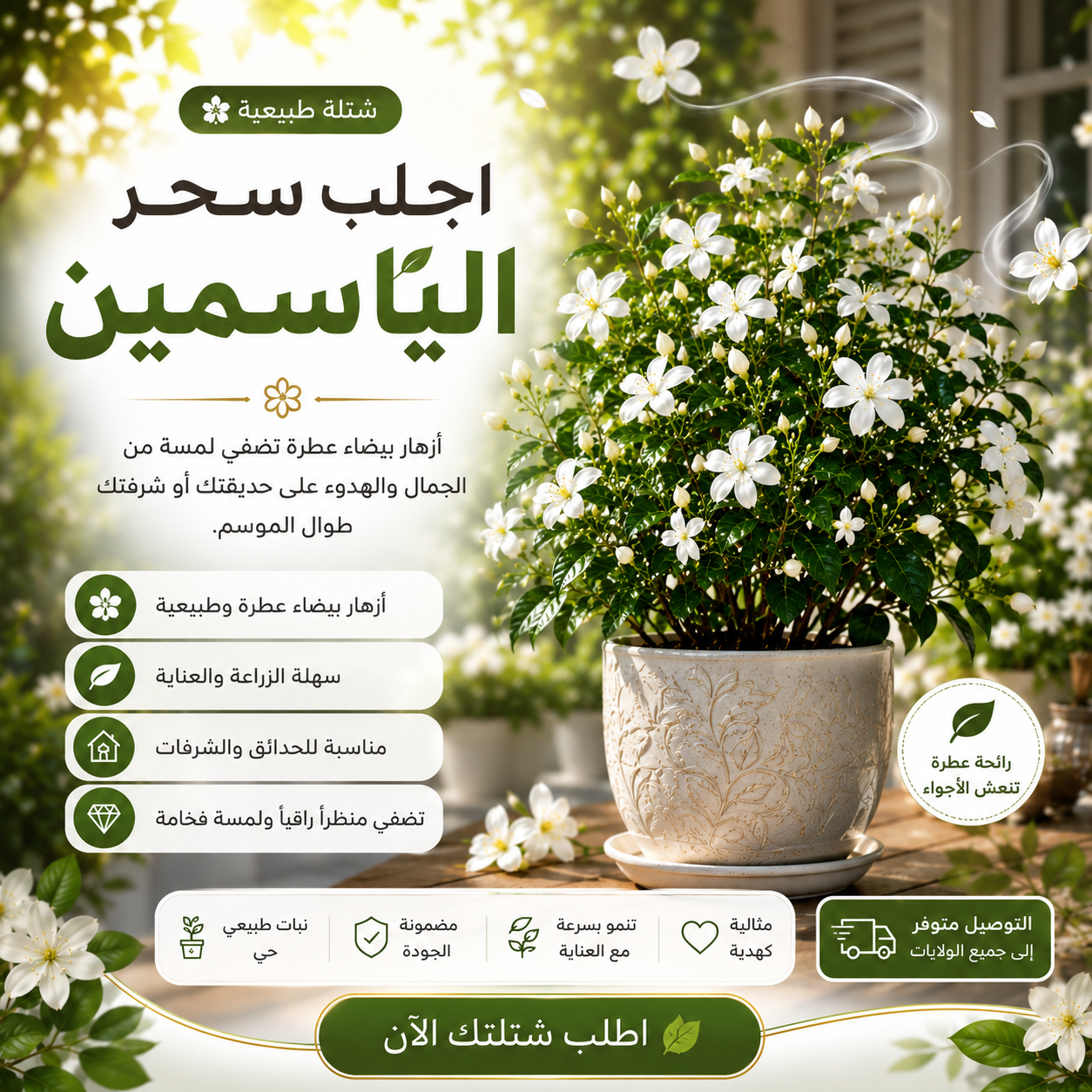 JASMiNE - شجرة الياسمين